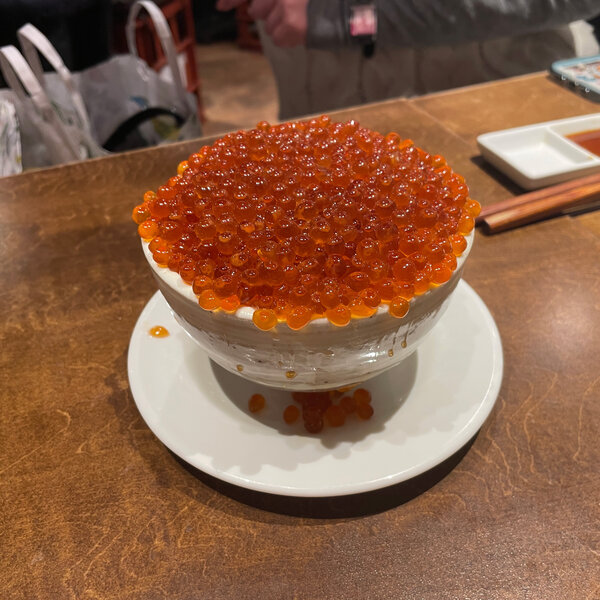 ikura_2605.jpg