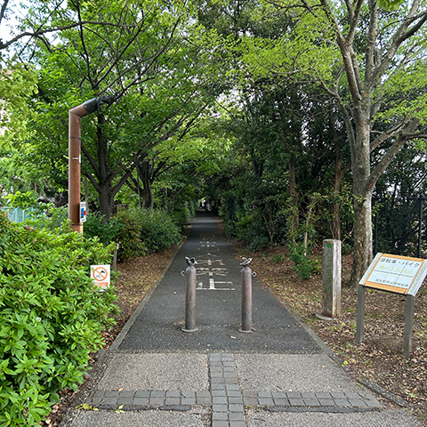 image1.png